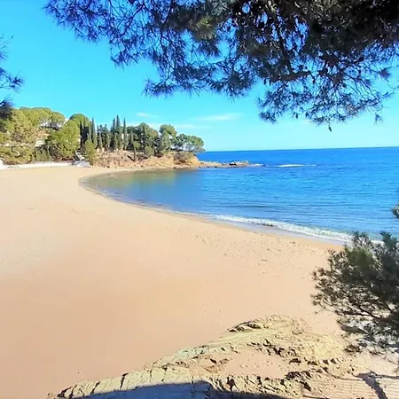 아파트 Frente Al Mar En Cap Ras - Familiar Y Acepta Mascotas - Es-170-28